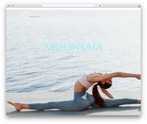 Wt gift cards woocommerce WordPress plugin - moonsaia.com