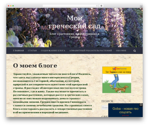 Best WordPress theme Accent - moy-grecheskiy-sad.ru