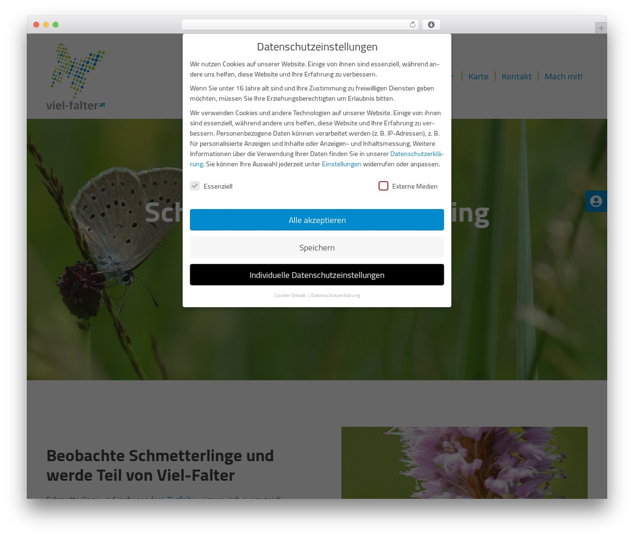 Vielfalter WordPress theme - viel-falter.at Vielfalter WordPress theme - viel-falter.at