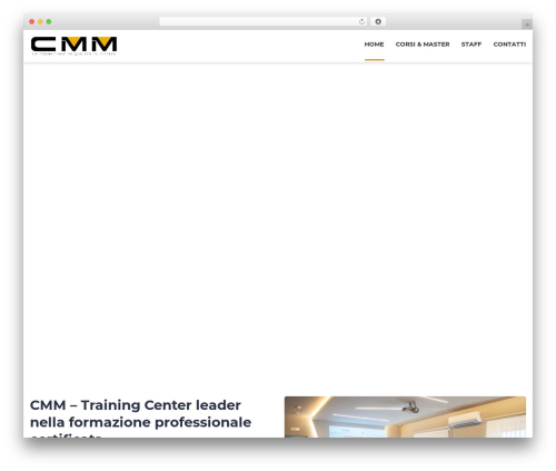 Stm post type WordPress plugin - cmm.it