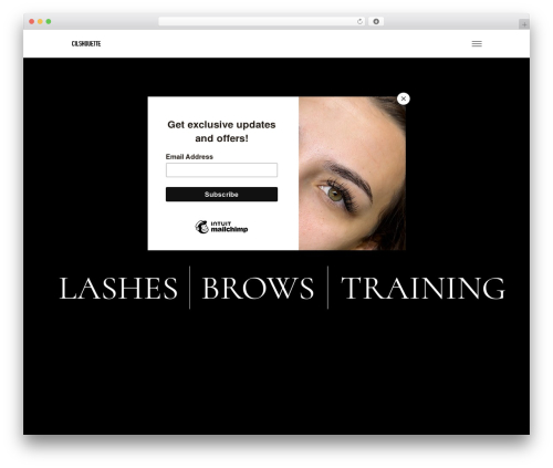 Mien core WordPress plugin - cilshouette.com