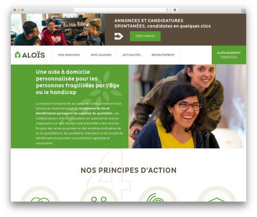WordPress theme Skeleton - alois.services