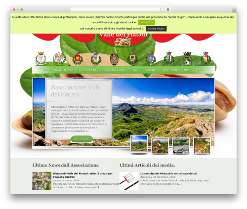 Special recent posts pro WordPress plugin - pistacchiovalledelplatani.it