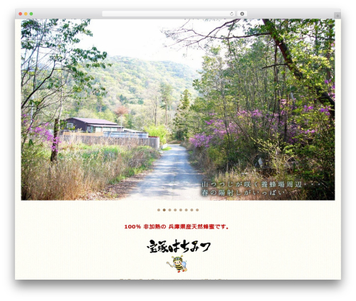 WPMEMO basic premium WordPress theme - takarazuka-hatimitu.com