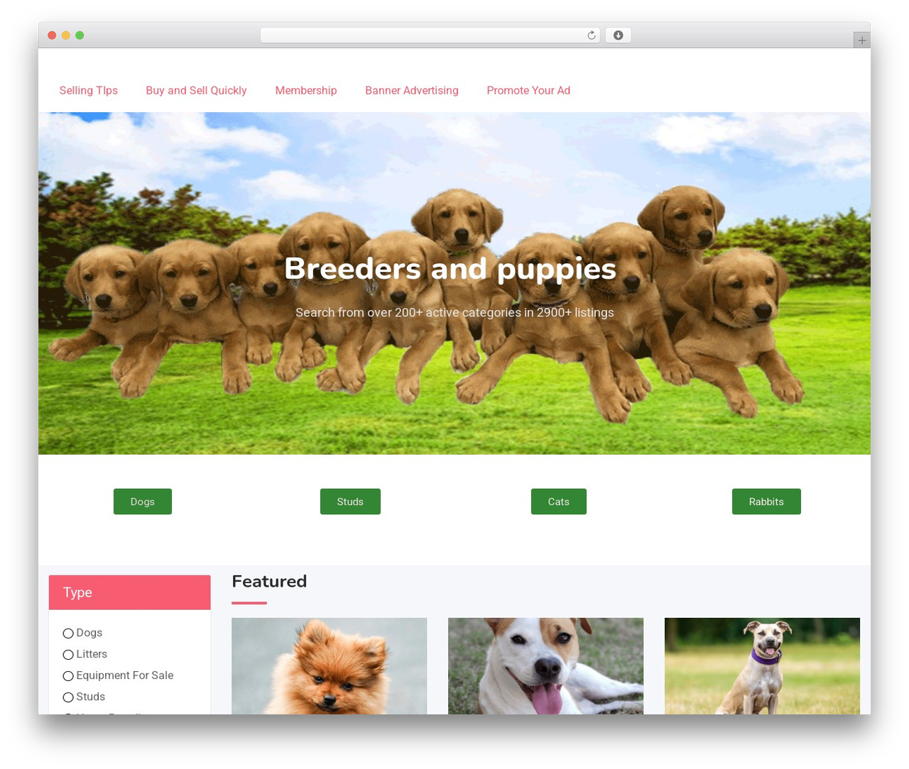 Classima WordPress theme - thedogregister.co.uk Classima WordPress theme - thedogregister.co.uk