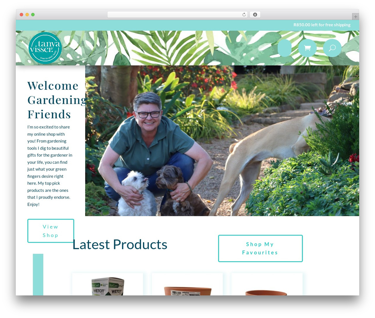 WP theme Divi - tanyavisser.com