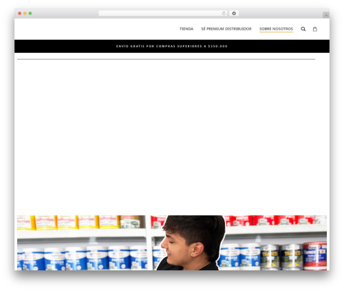Astra theme WordPress - pinturaspremium.com