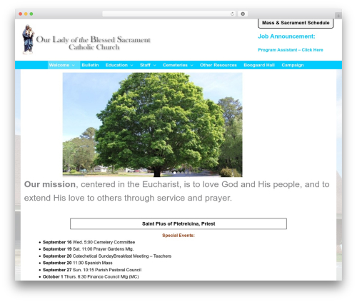 Astra WordPress theme - olbs-catholic.org