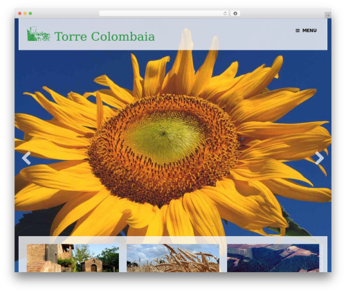 Beauté theme WordPress - torrecolombaia.it