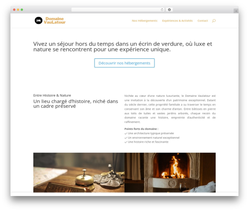 Divi contact form zero spam WordPress plugin - domainevaulatour.com