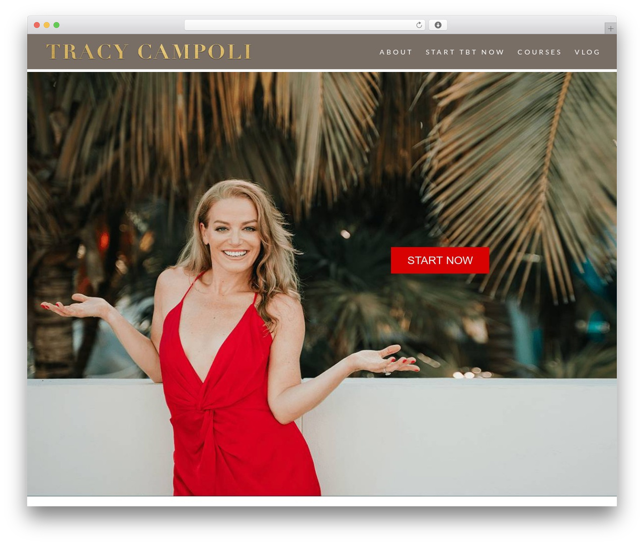 Divi WordPress theme design - tracycampoli.com