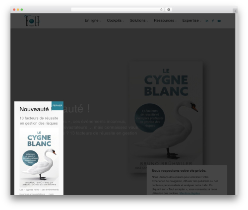 WordPress theme EasyQuickSite - bolt-sa.ch