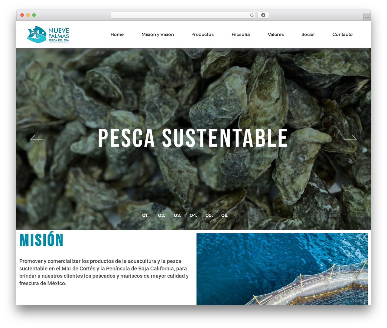 WordPress theme WebOn - nuevepalmas.com