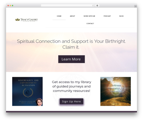 WordPress website theme Hello Pro - tracygaudet.com
