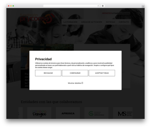 Bridge WordPress theme - fundacionpryconsa.es
