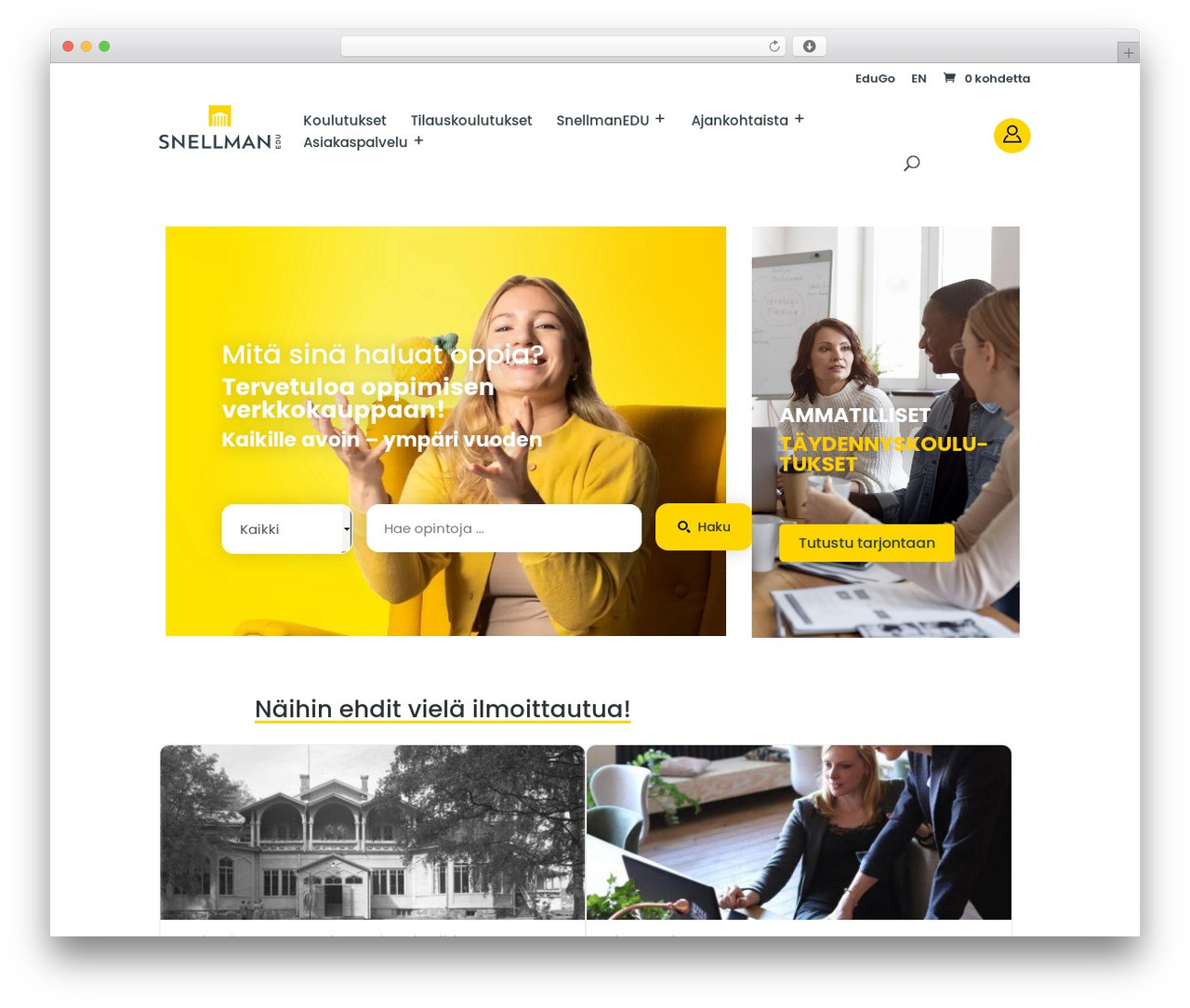 Divi WP theme - snellmanedu.fi