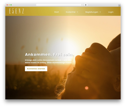 Digistore WordPress plugin - e5enz.com