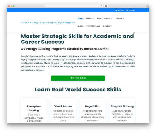 WordPress theme Divi - cranialstrategy.com
