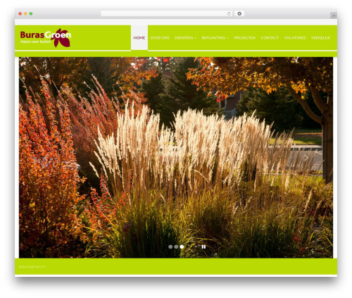 Cherry blog layouts WordPress plugin - burasgroen.nl