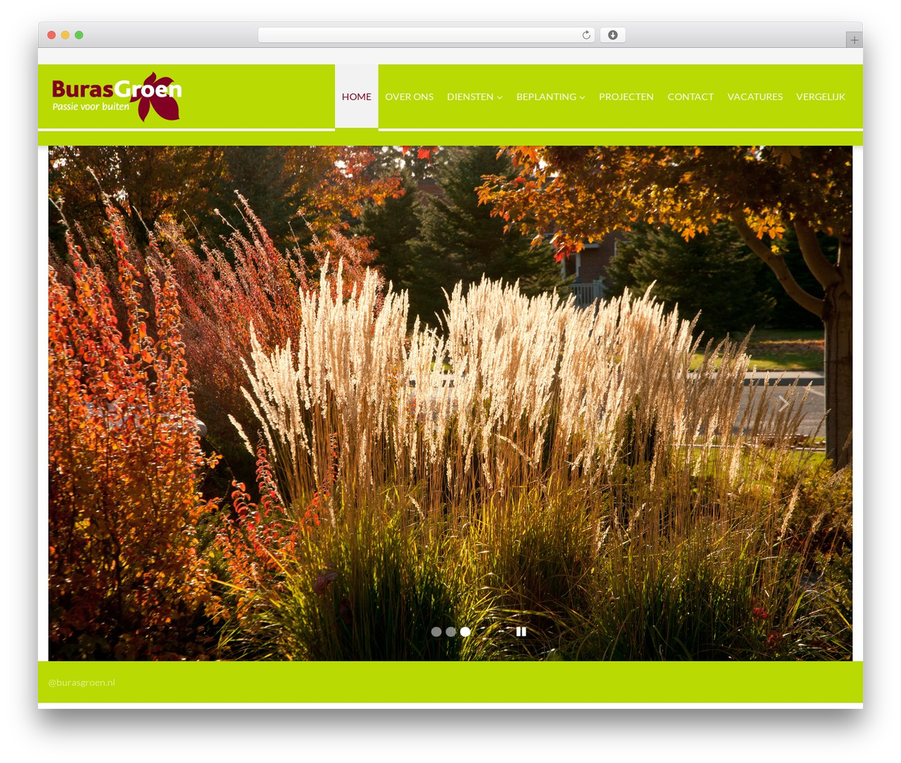 Cherry Framework WordPress theme - burasgroen.nl