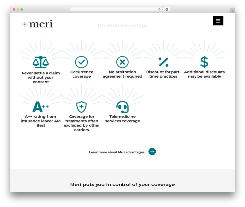 WordPress theme Vendi Base Theme - meriinsured.com