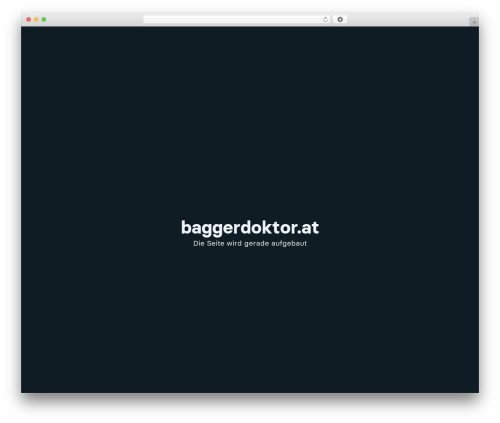 Bricks WordPress theme - baggerdoktor.at