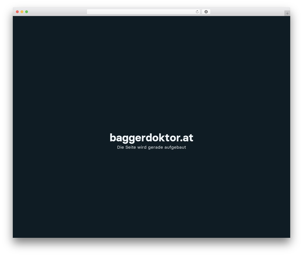 Bricks WordPress theme - baggerdoktor.at Bricks WordPress theme - baggerdoktor.at
