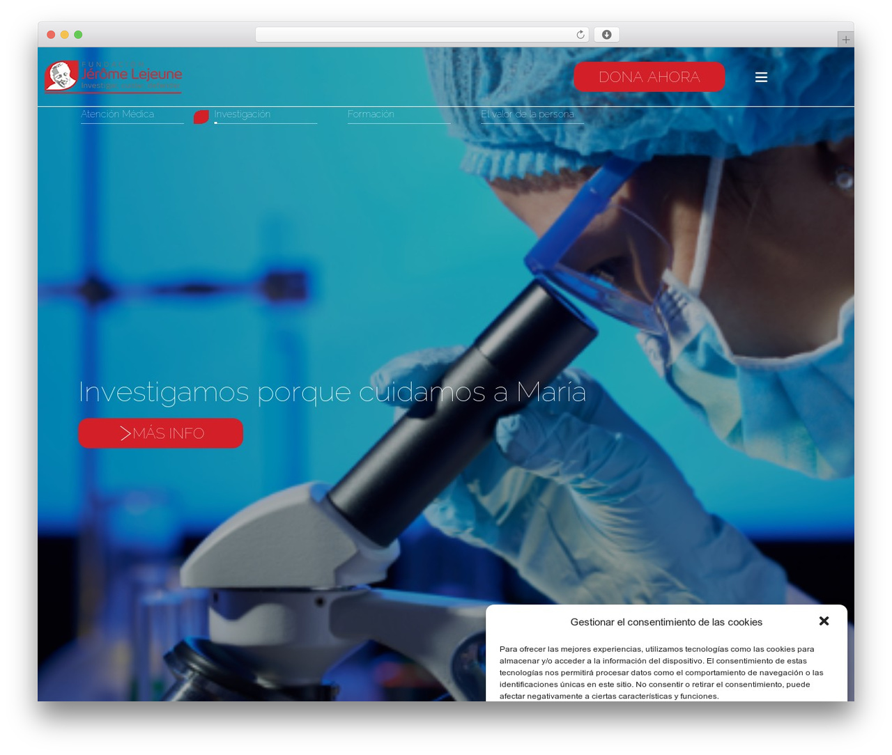 Hello Elementor WordPress theme - fundacionlejeune.es Hello Elementor WordPress theme - fundacionlejeune.es
