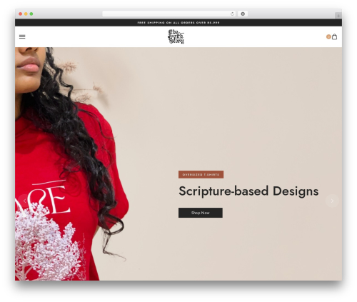Styler elementor addons WordPress plugin - thefaithstory.com