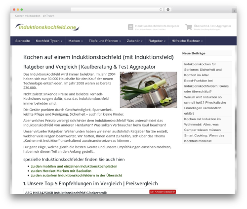 Affiliatetheme amazon WordPress plugin - induktionskochfeld.one
