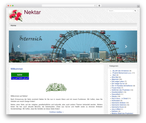 B3 WordPress theme - nektar.co.at