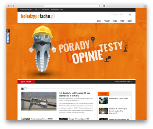 Backstreet WordPress blog theme - koledzypofachu.pl
