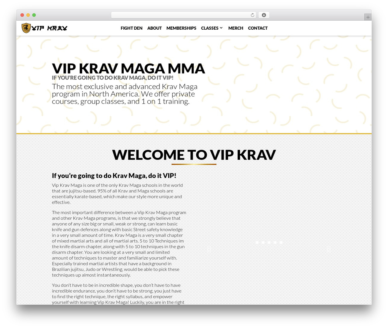 WordPress theme Divi Child Theme - vipkrav.com WordPress theme Divi Child Theme - vipkrav.com