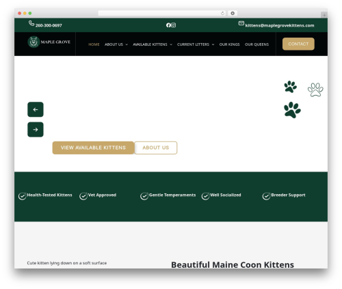 Classic menu block WordPress plugin - maplegrovekittens.com