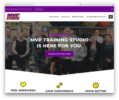 WordPress theme 321GoMaster - mvptrainingstudio.com