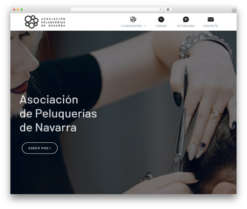 Exea WordPress theme - peluqueriasdenavarra.com