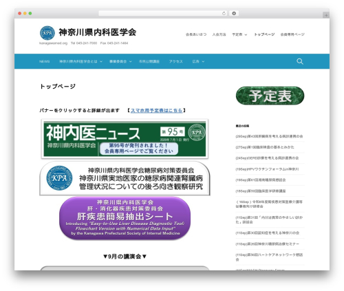 First WordPress theme - kanagawamed.org