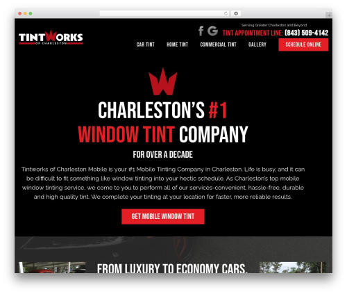 Hello Elementor theme WordPress - tintworksofcharleston.com