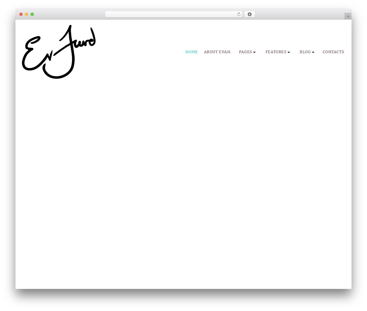 Flashing WordPress theme - evjurd.com