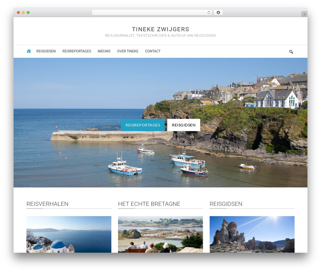 Flex Pro Theme WordPress theme - tinekezwijgers.nl Flex Pro Theme WordPress theme - tinekezwijgers.nl