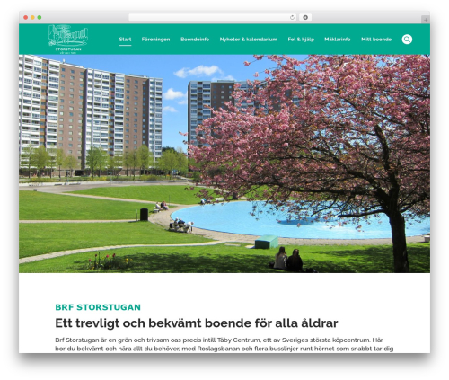 Generation WordPress theme design - brfstorstugan.com