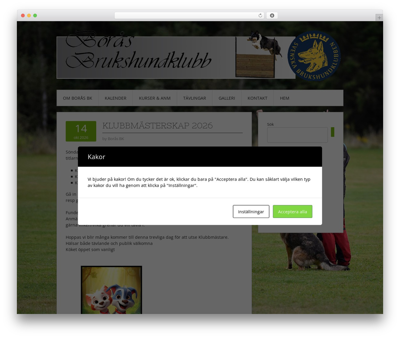 WordPress theme Contango - borasbk.se WordPress theme Contango - borasbk.se