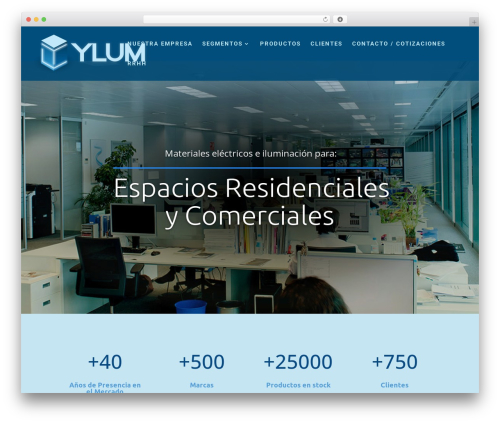Ssm WordPress plugin - ylumsa.com.ar
