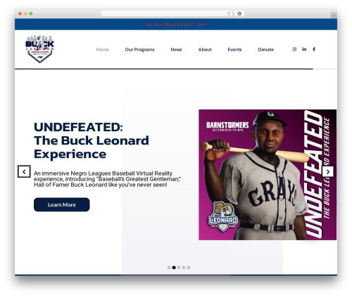 Best WordPress theme Divinity - buckleonard.org