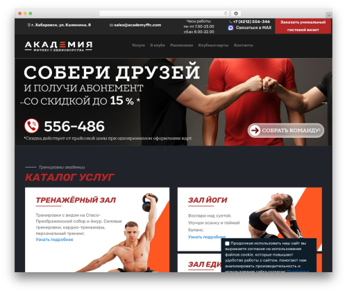 cherry WP theme - academyffc.com