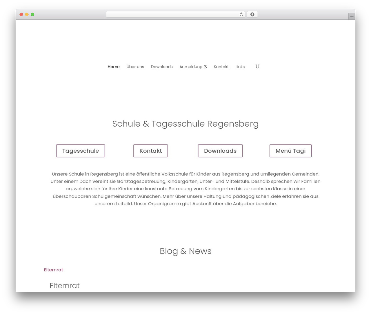 Divi WordPress theme - schule-regensberg.ch