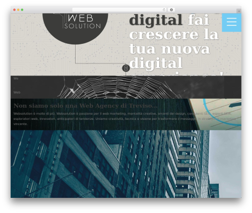 Websolution WordPress theme - websolution.it