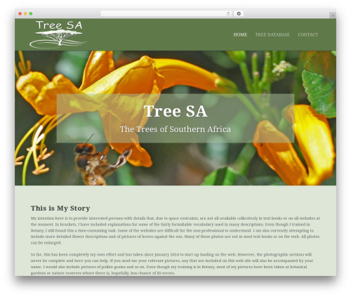 Aspen footer editor WordPress plugin - treesa.org