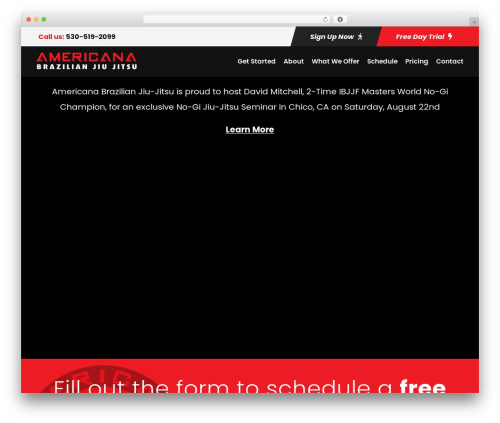 Zyth WP theme - americanabjj.com