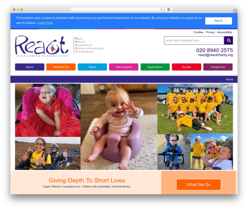 Theme WordPress React - reactcharity.org